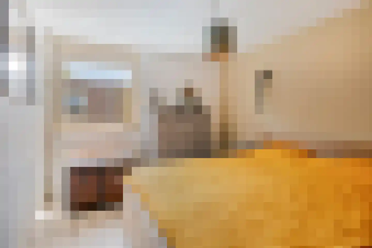 Sileneweerd 6 Maastricht thumbnail 14