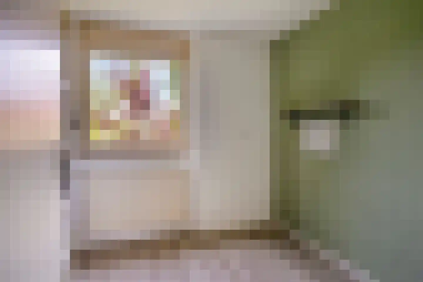 Sileneweerd 6 Maastricht thumbnail 17