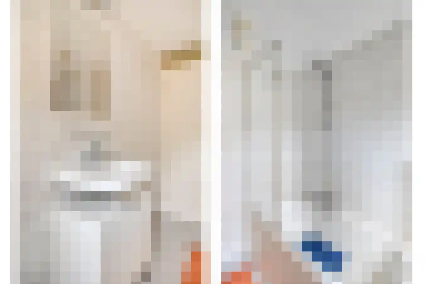 Sileneweerd 6 Maastricht thumbnail 20