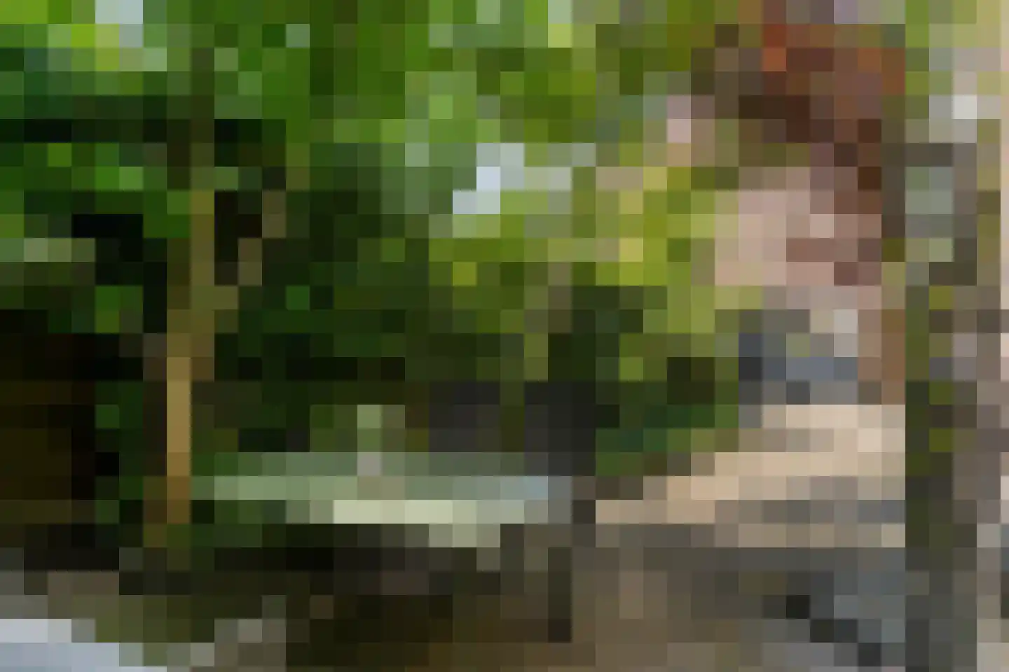 Sileneweerd 6 Maastricht thumbnail 23