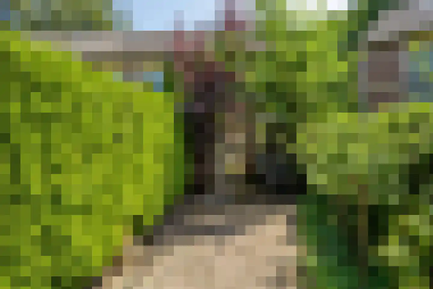 Sileneweerd 6 Maastricht thumbnail 26
