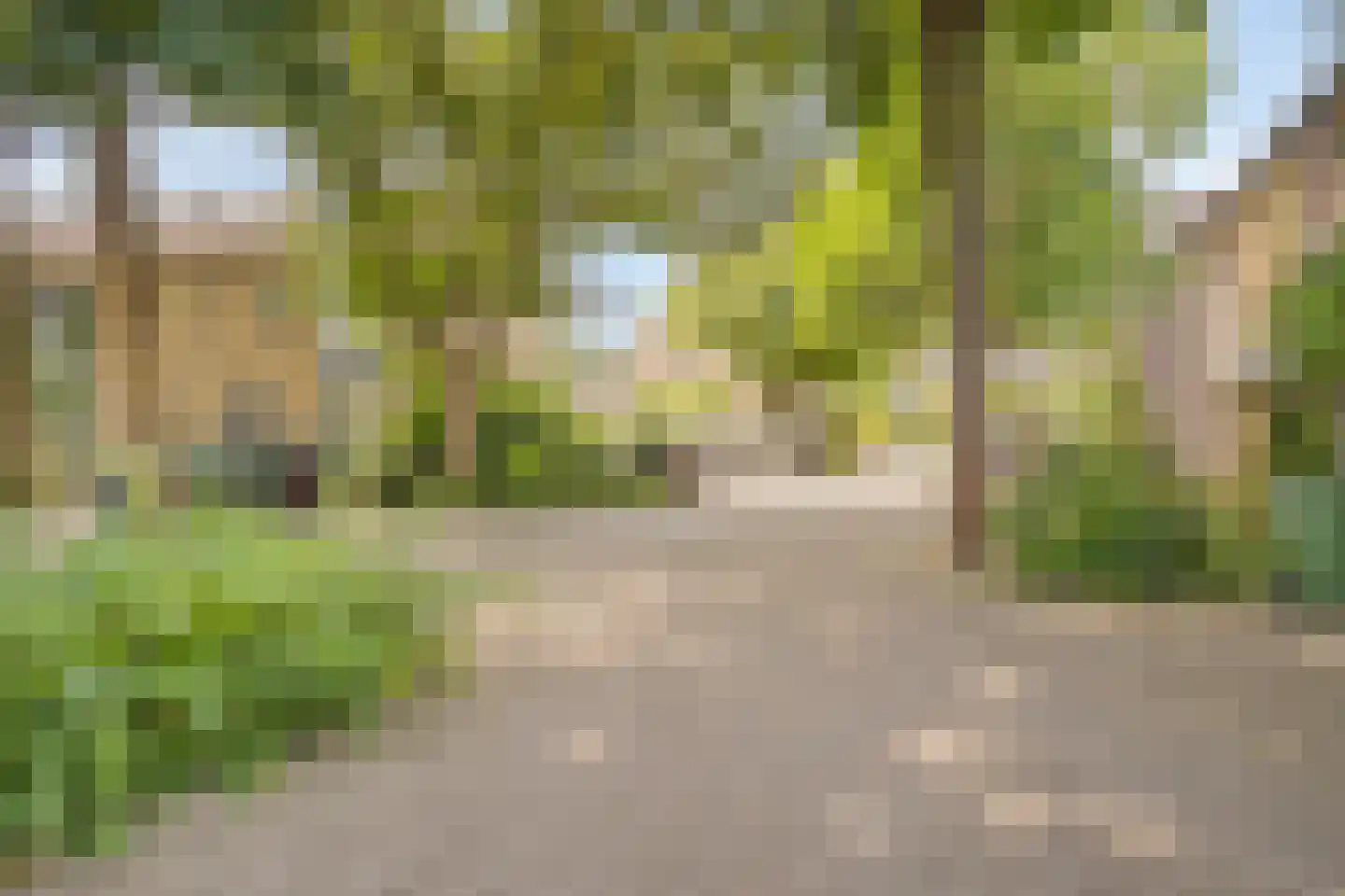 Sileneweerd 6 Maastricht thumbnail 29