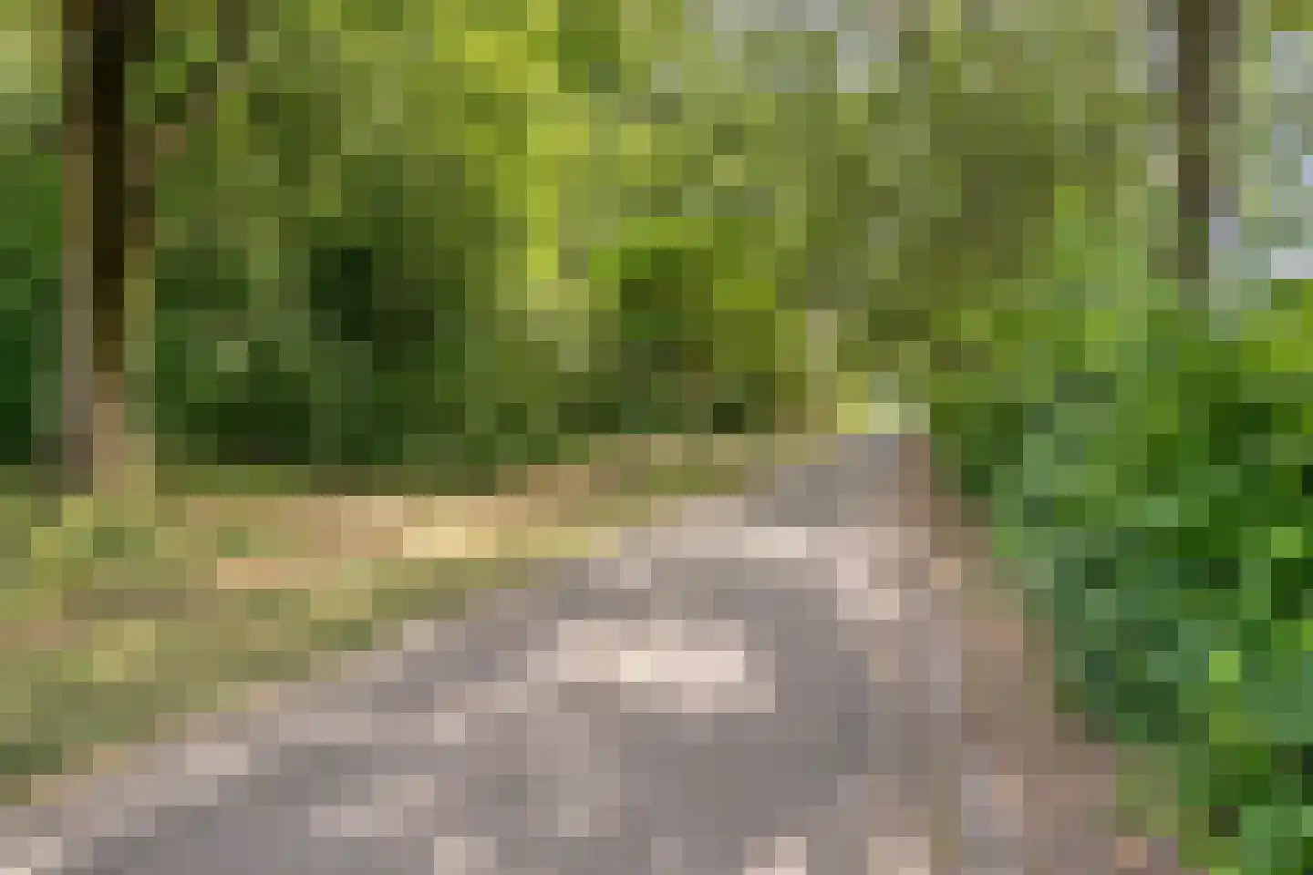 Sileneweerd 6 Maastricht thumbnail 30