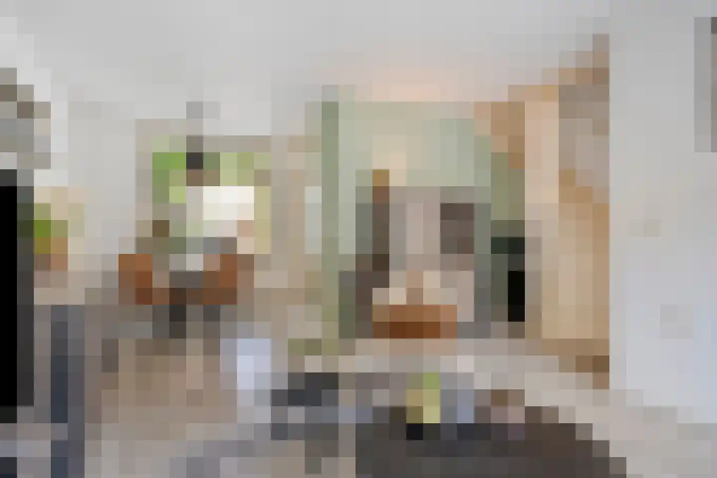 Sileneweerd 6 Maastricht thumbnail 7