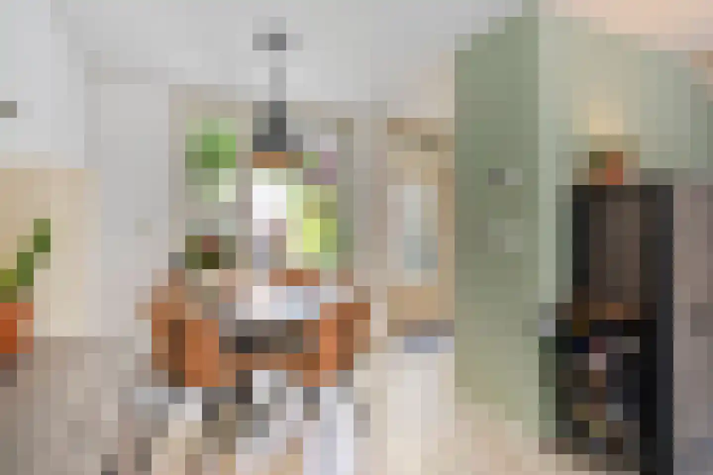 Sileneweerd 6 Maastricht thumbnail 8