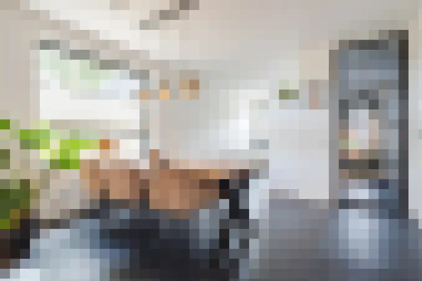 Silenus 110 Cuijk thumbnail 11