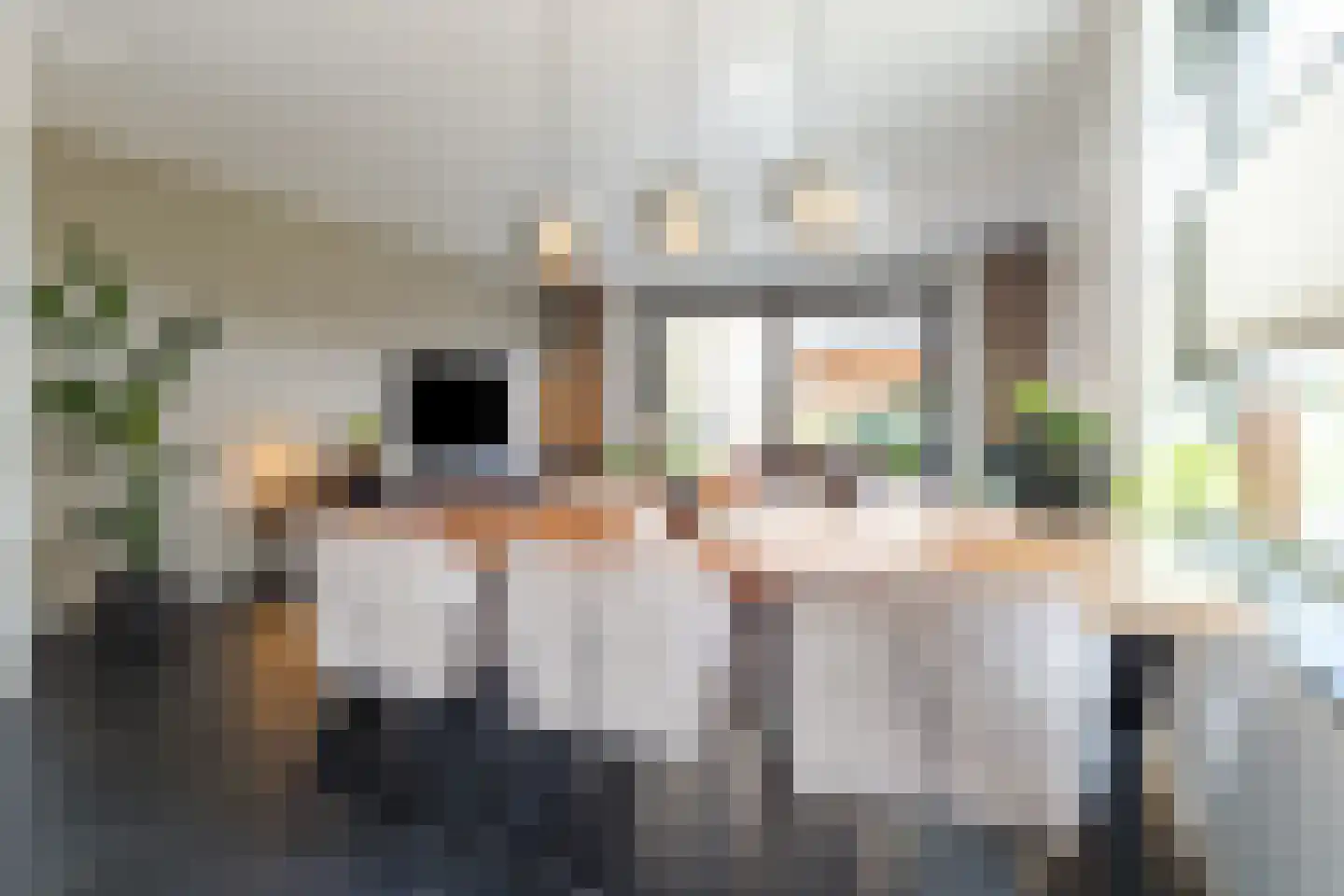 Silenus 110 Cuijk thumbnail 12