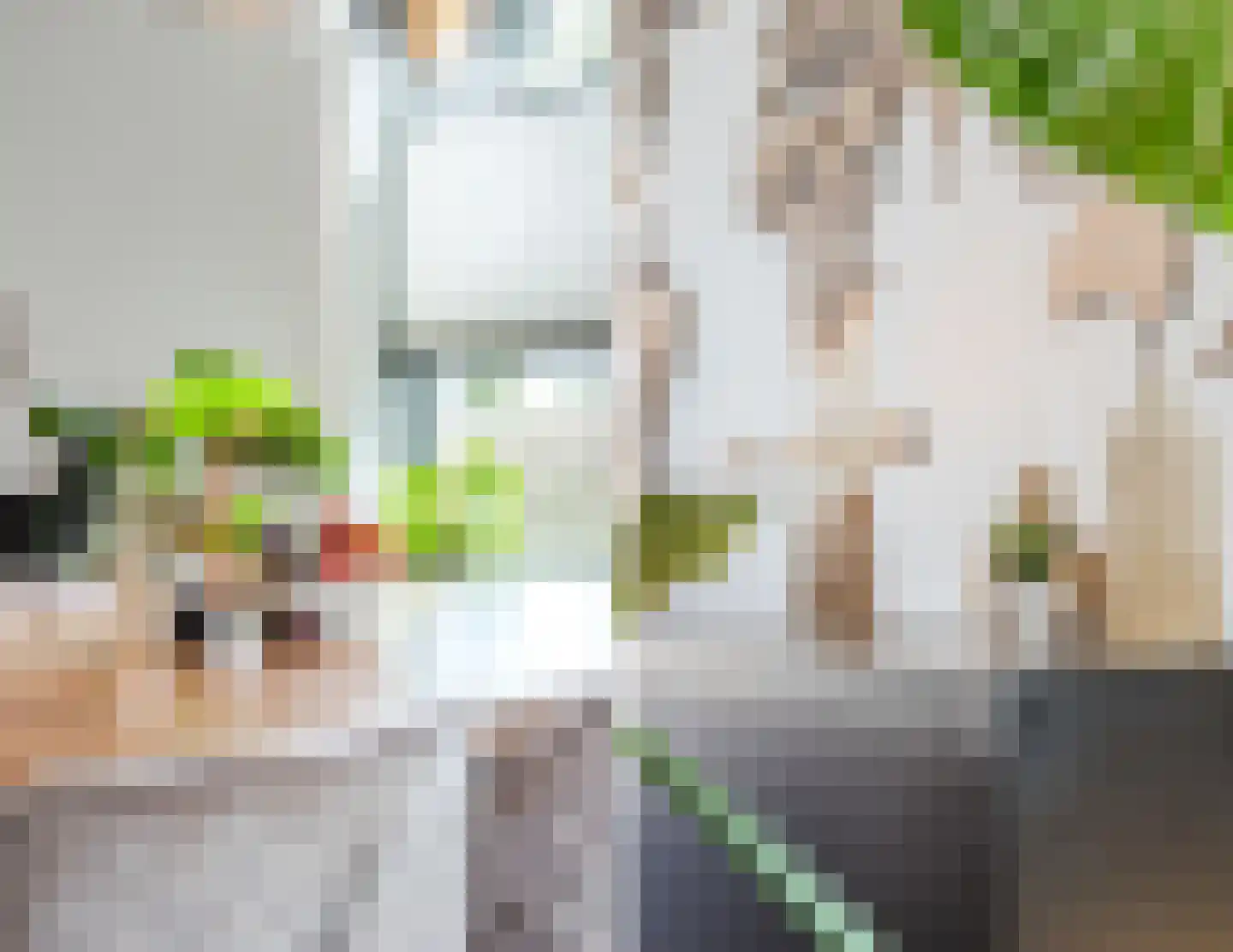 Silenus 110 Cuijk thumbnail 13