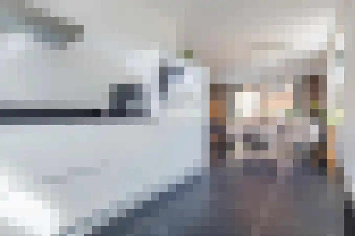 Silenus 110 Cuijk thumbnail 15