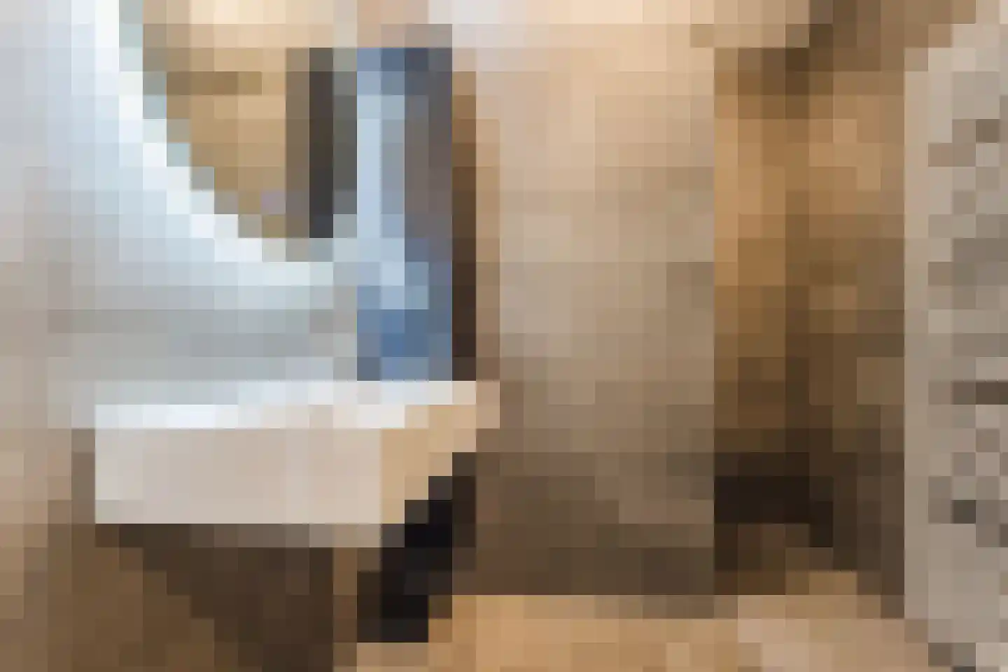 Silenus 110 Cuijk thumbnail 21