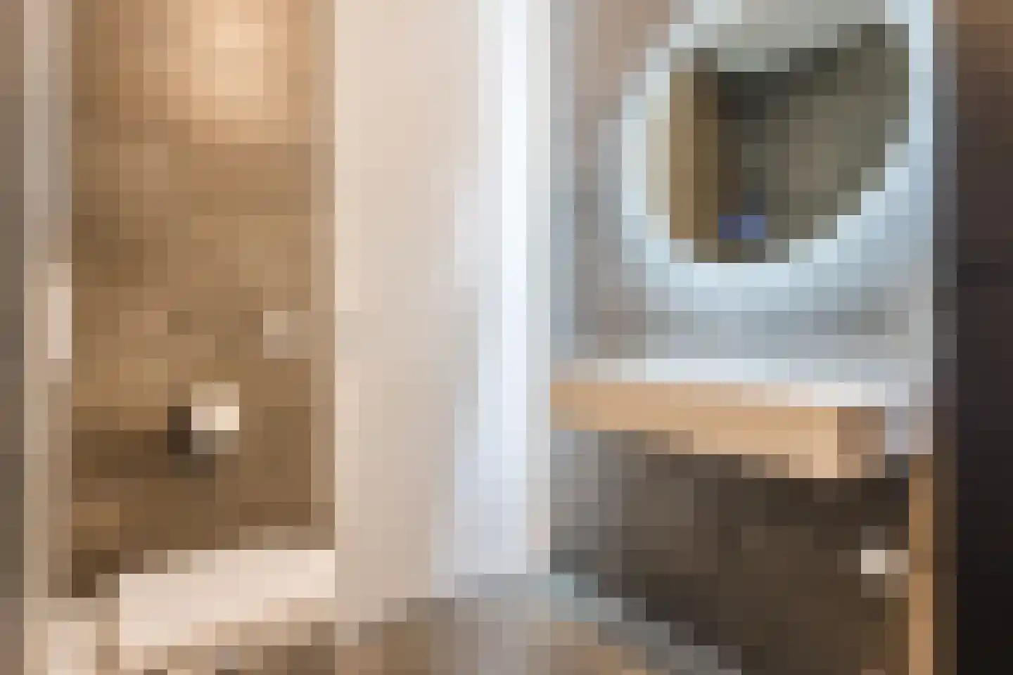 Silenus 110 Cuijk thumbnail 22