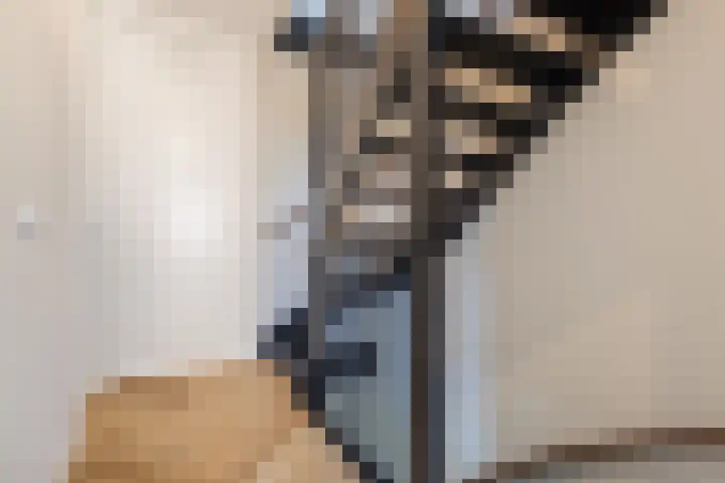 Silenus 110 Cuijk thumbnail 23