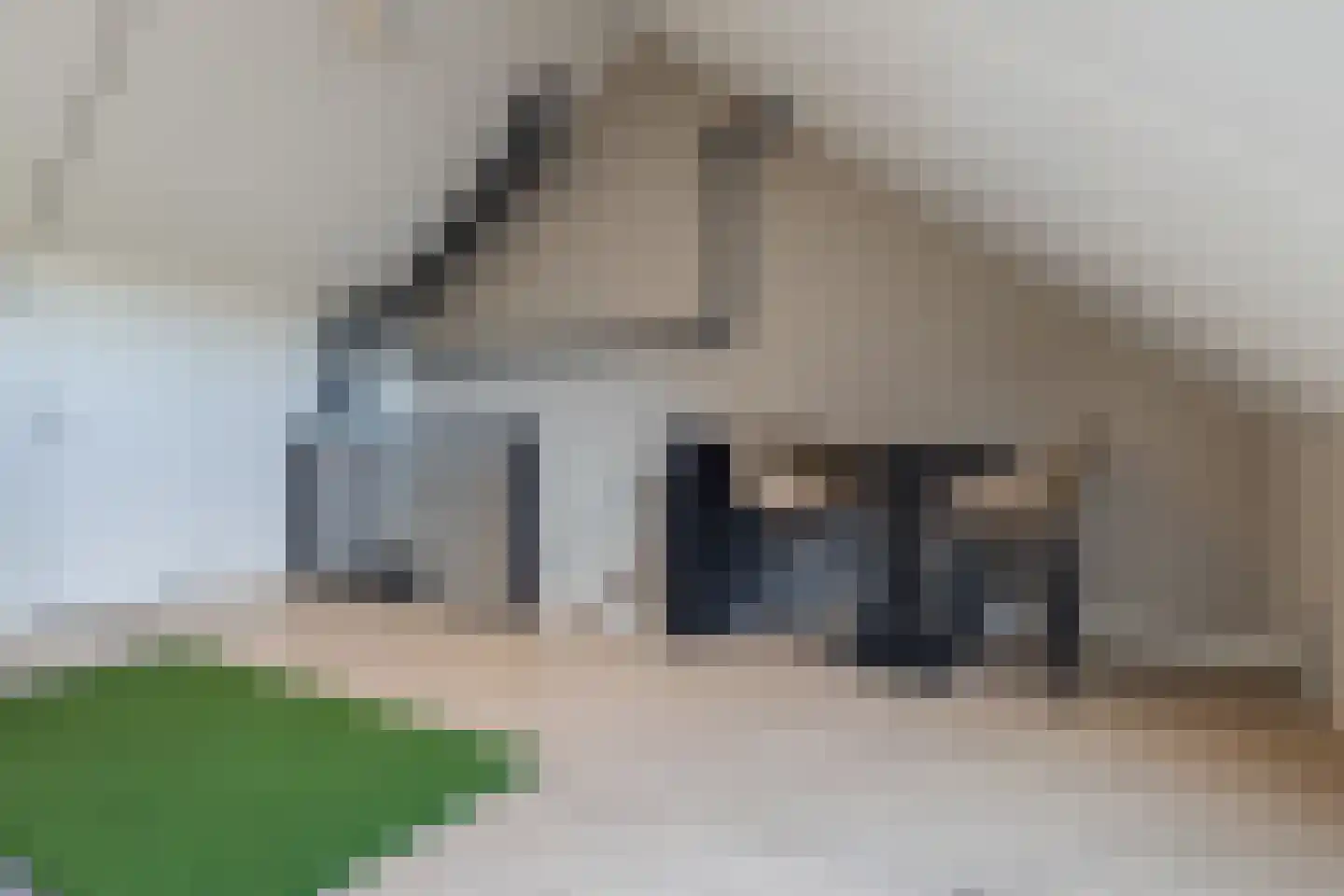 Silenus 110 Cuijk thumbnail 24