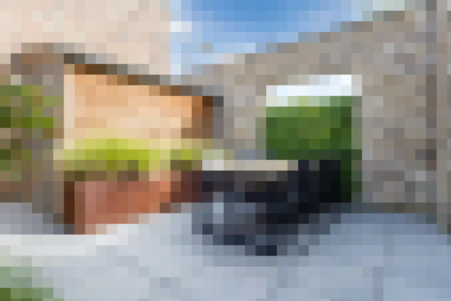 Silenus 110 Cuijk thumbnail 26