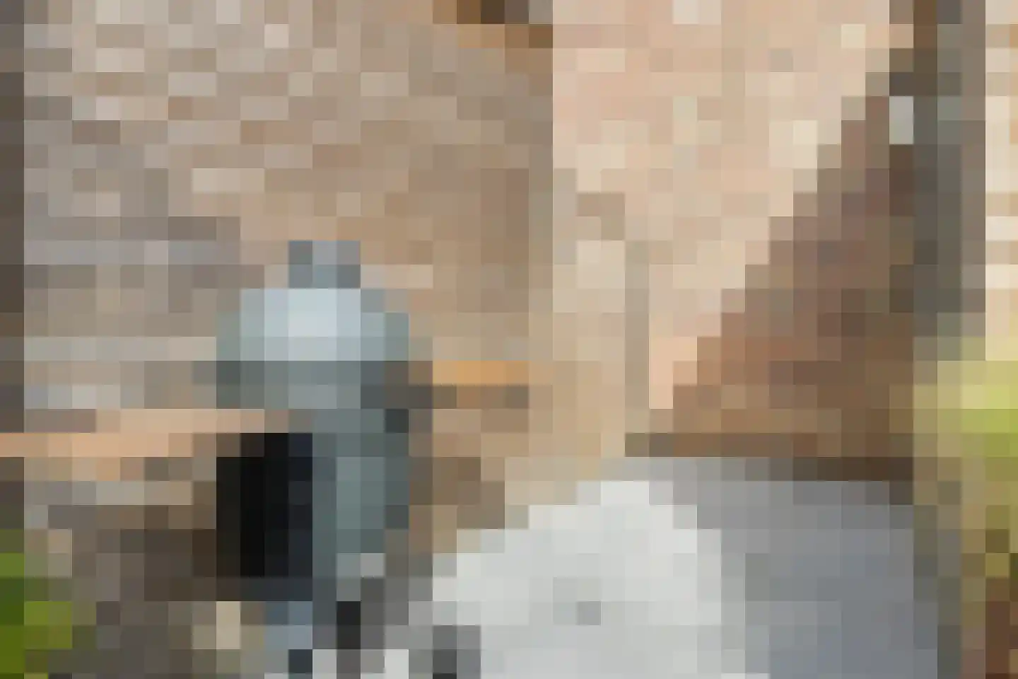 Silenus 110 Cuijk thumbnail 28