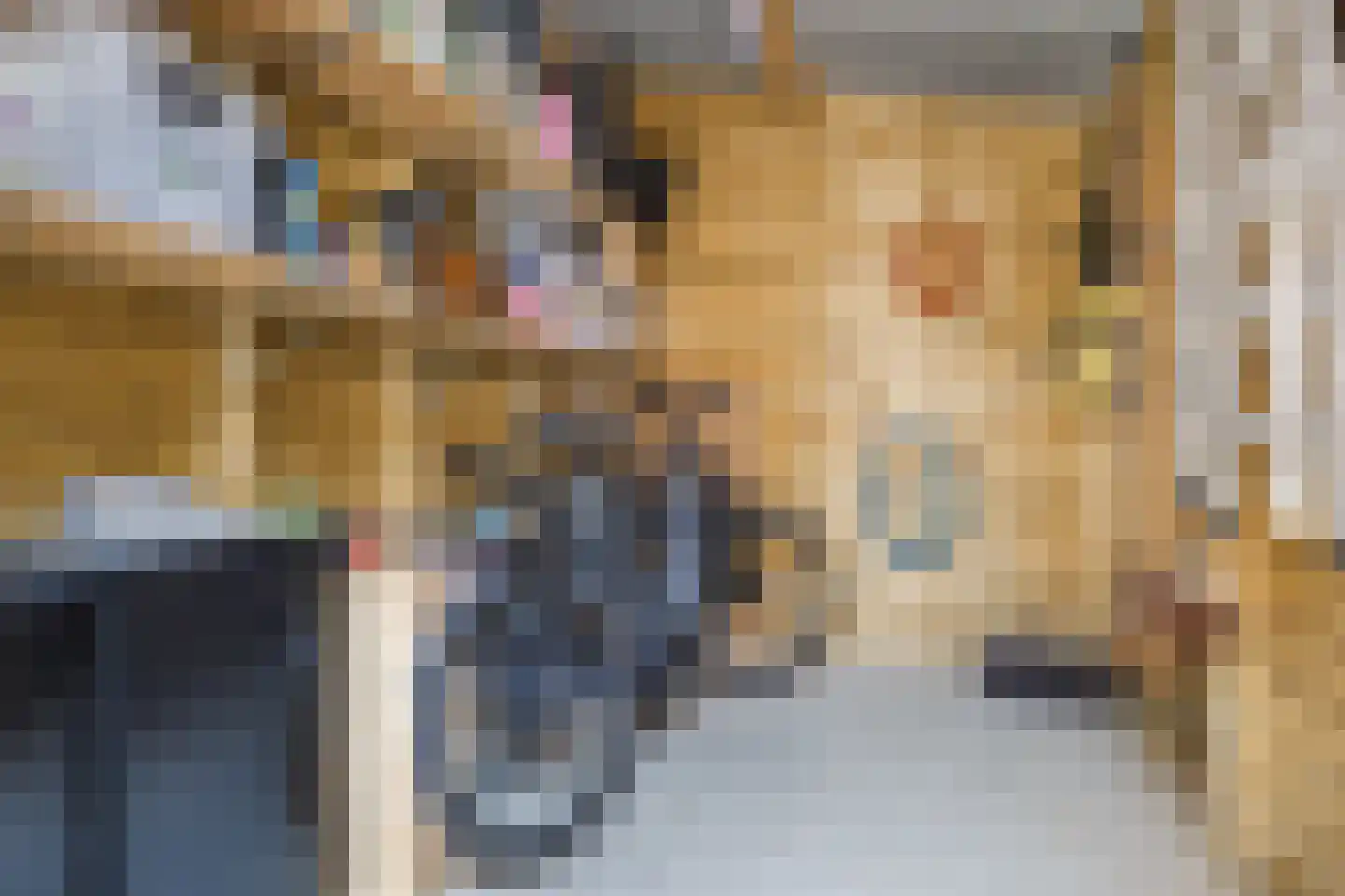 Silenus 110 Cuijk thumbnail 29
