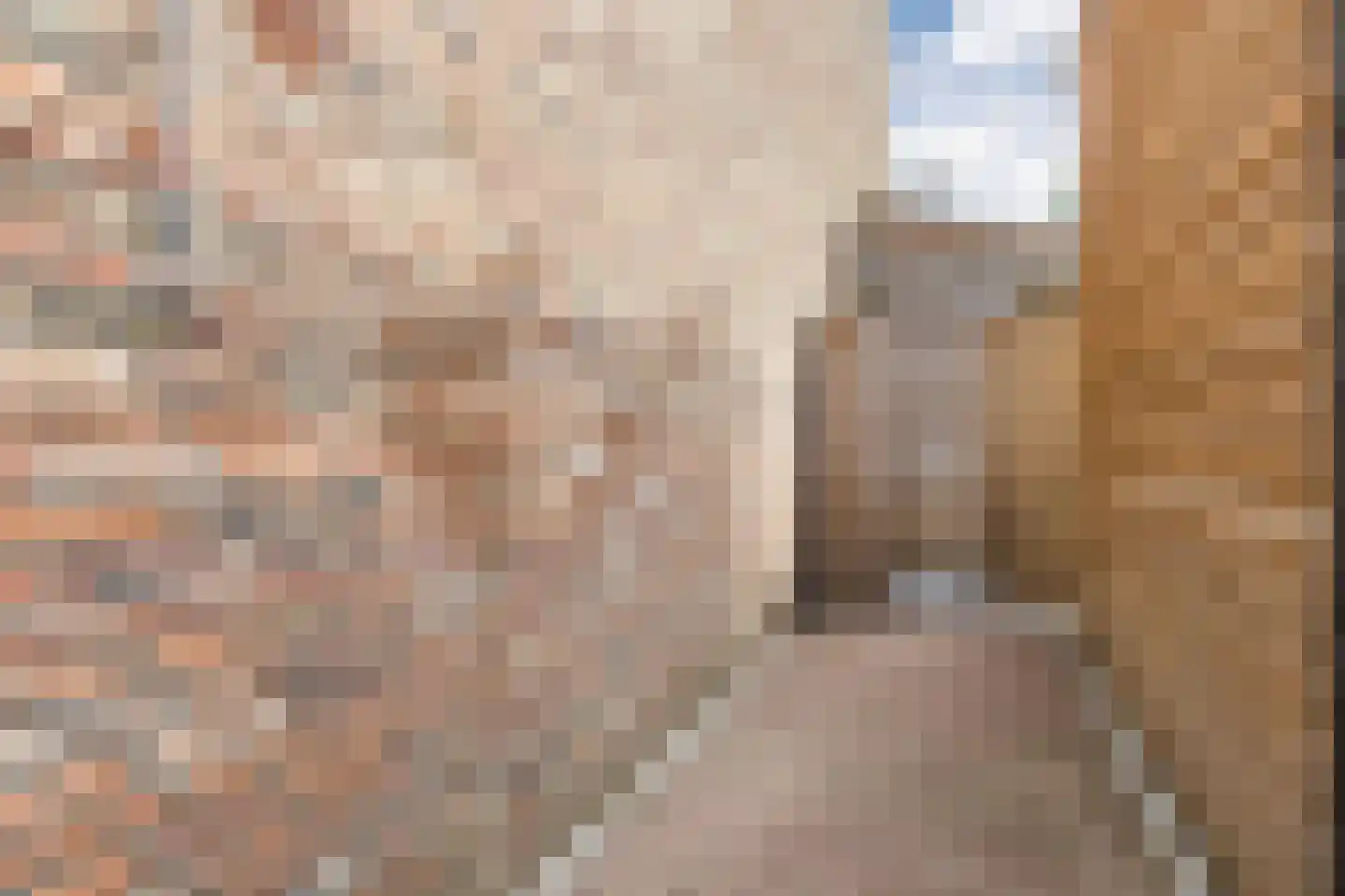 Silenus 110 Cuijk thumbnail 30