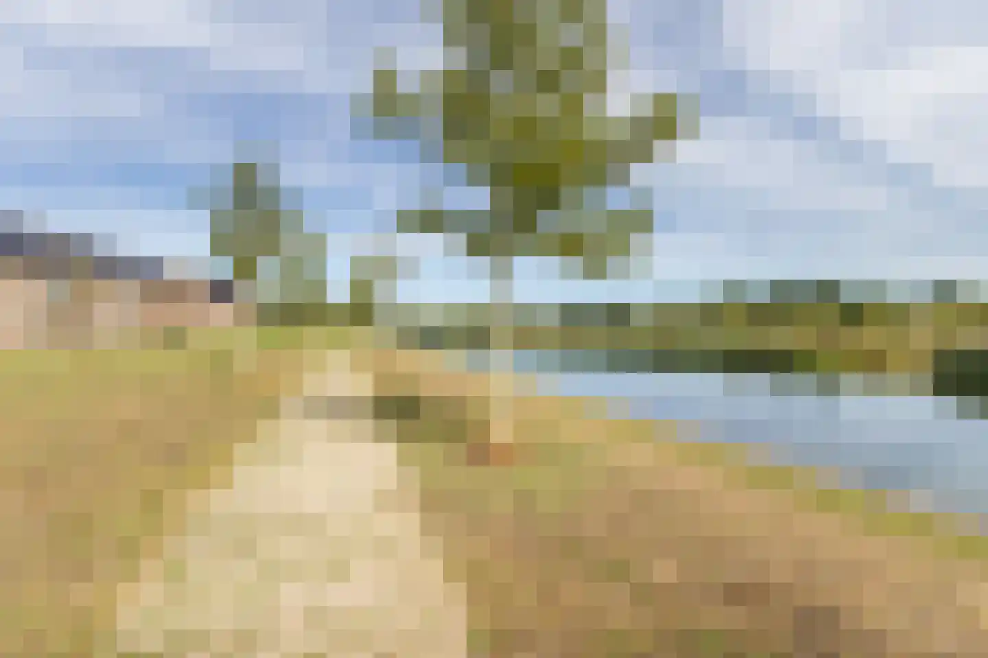 Silenus 110 Cuijk thumbnail 33