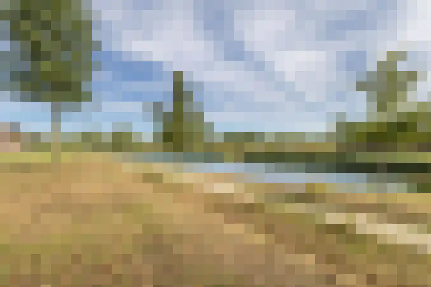 Silenus 110 Cuijk thumbnail 34