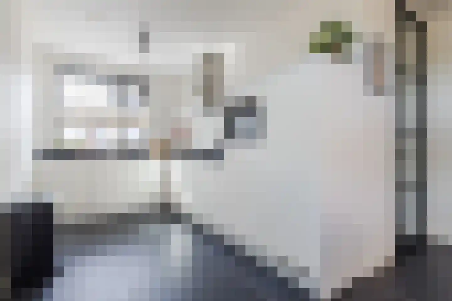 Silenus 110 Cuijk thumbnail 4