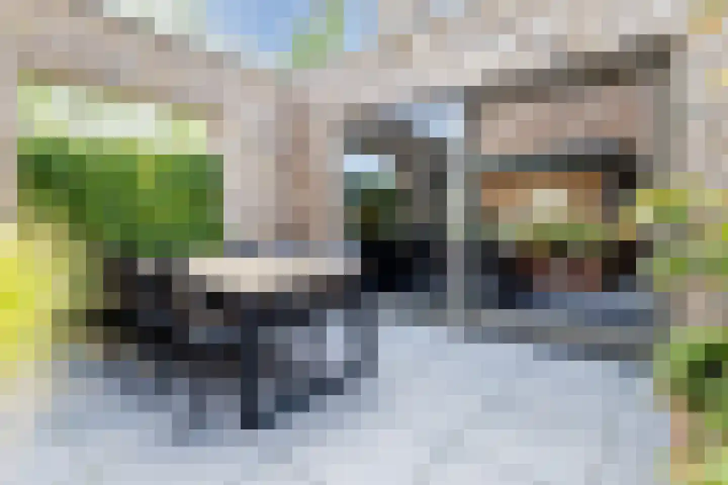 Silenus 110 Cuijk thumbnail 5