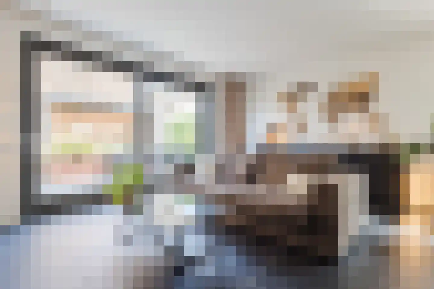 Silenus 110 Cuijk thumbnail 9