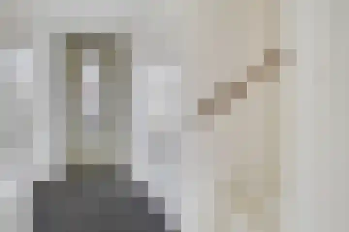 Silenus 118 Cuijk thumbnail 10