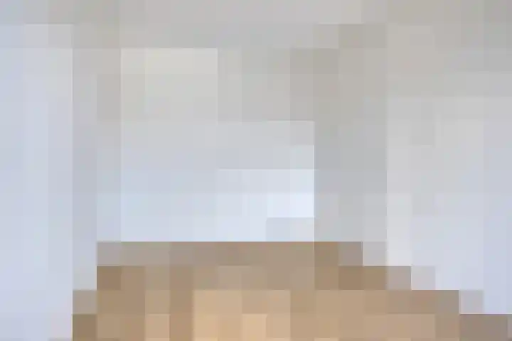 Silenus 118 Cuijk thumbnail 14