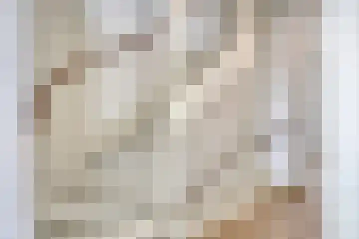Silenus 118 Cuijk thumbnail 20