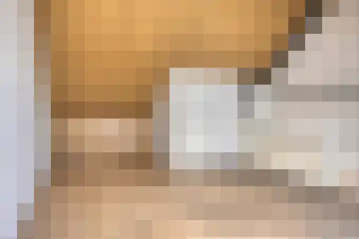 Silenus 118 Cuijk thumbnail 23
