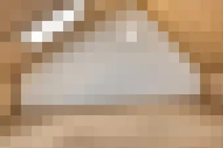 Silenus 118 Cuijk thumbnail 24