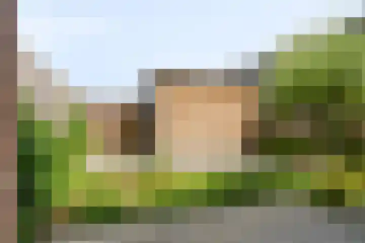 Silenus 118 Cuijk thumbnail 25