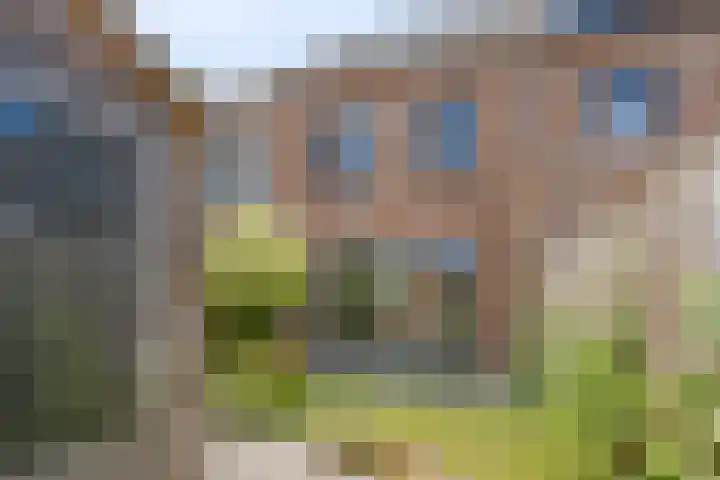 Silenus 118 Cuijk thumbnail 26