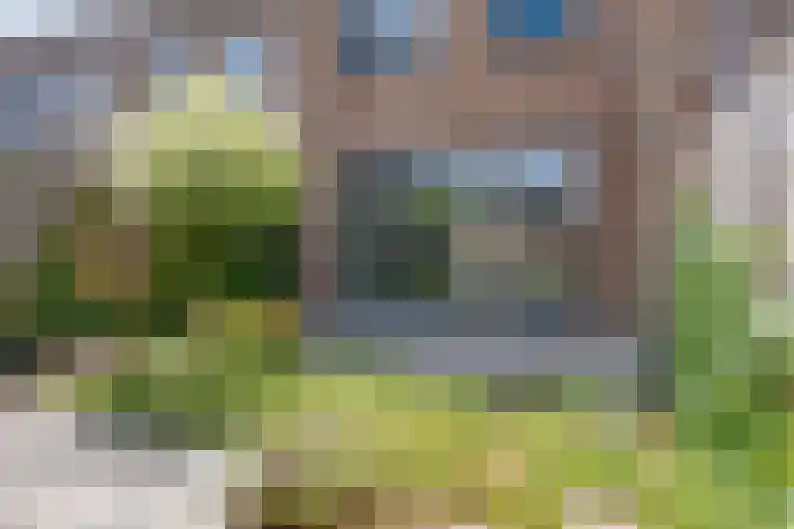 Silenus 118 Cuijk thumbnail 27