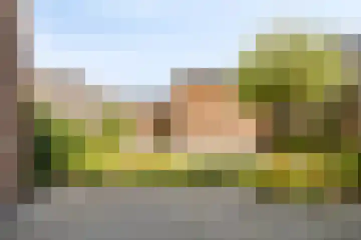 Silenus 118 Cuijk thumbnail 28