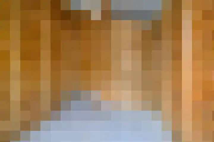 Silenus 118 Cuijk thumbnail 29