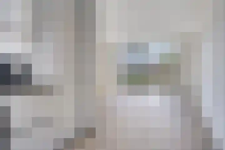 Silenus 118 Cuijk thumbnail 5