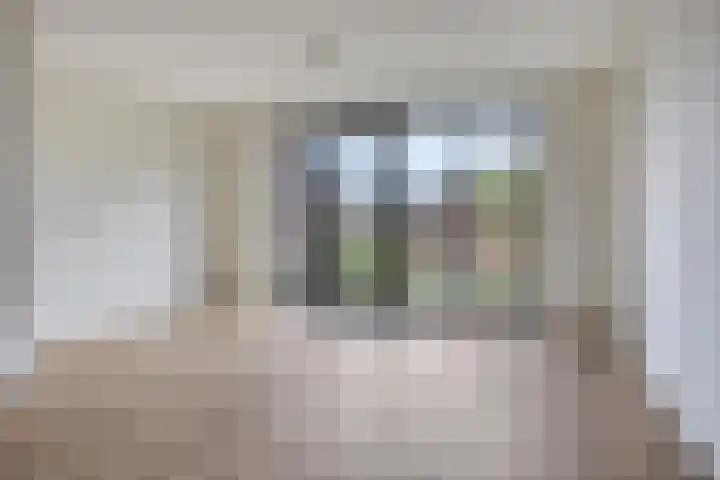 Silenus 118 Cuijk thumbnail 7