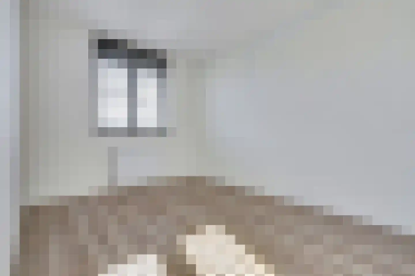 Silenus 15 Cuijk thumbnail 18