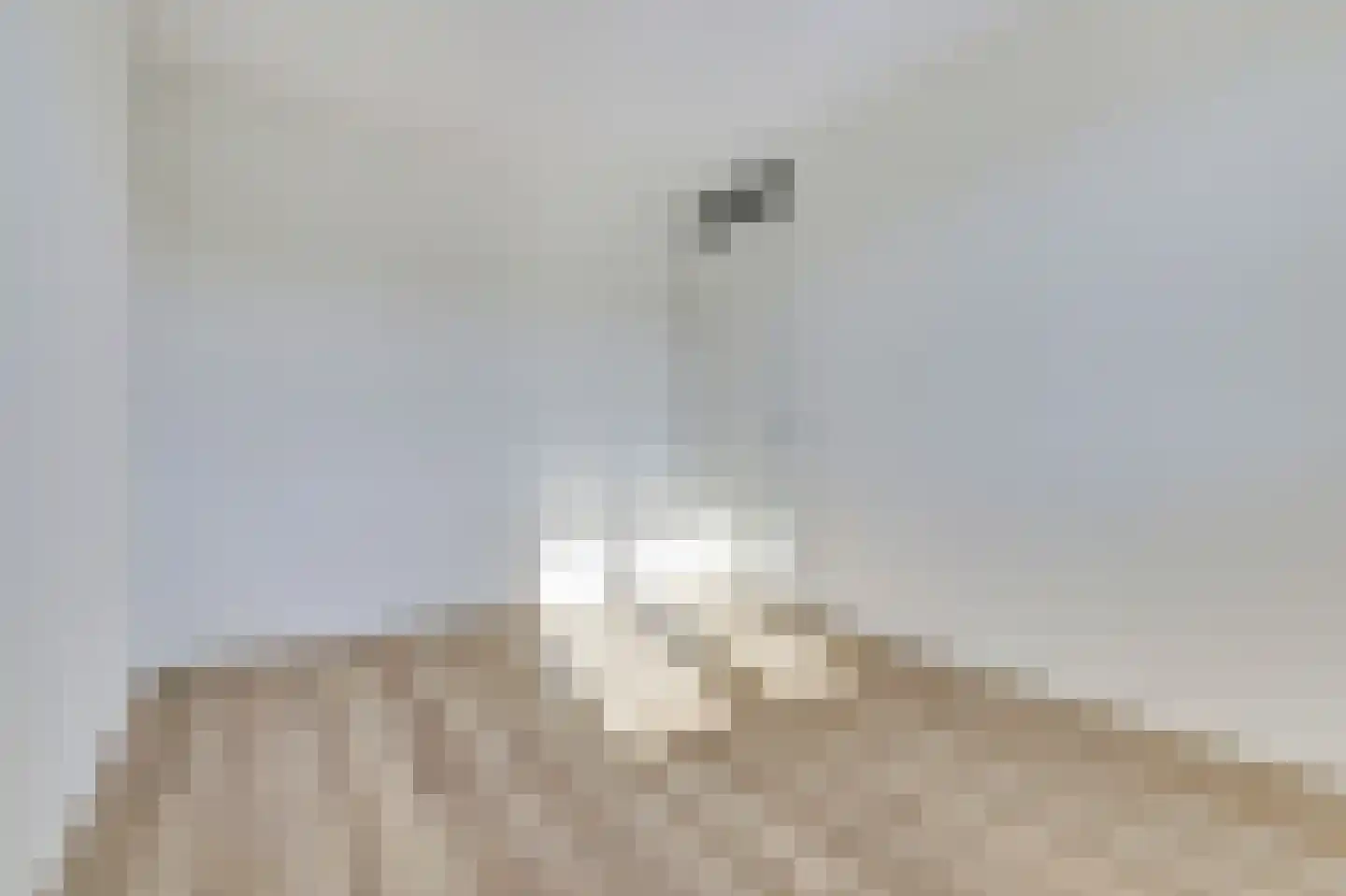 Silenus 15 Cuijk thumbnail 20
