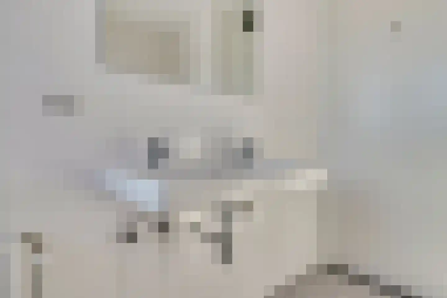 Silenus 15 Cuijk thumbnail 23