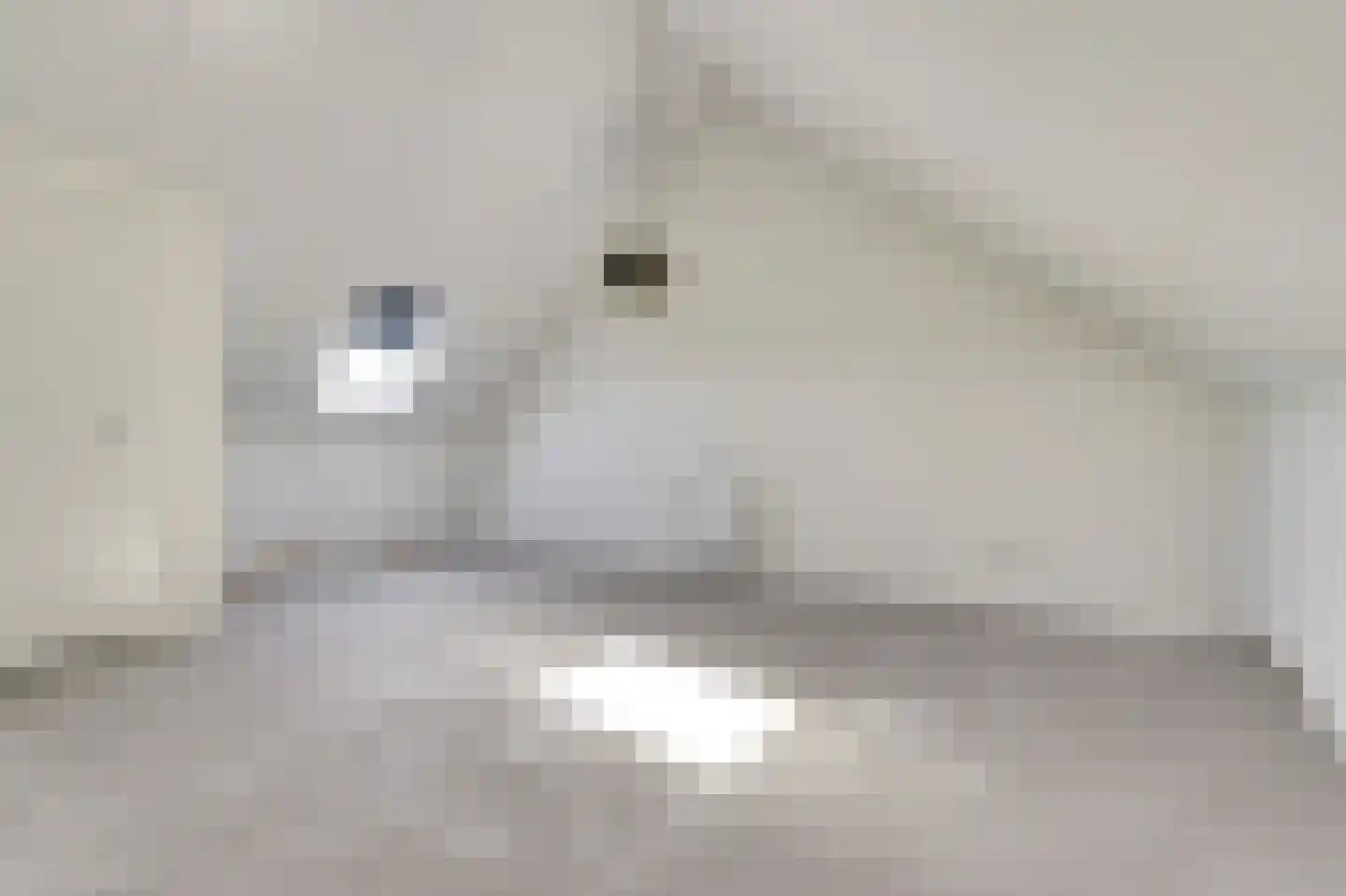Silenus 15 Cuijk thumbnail 26