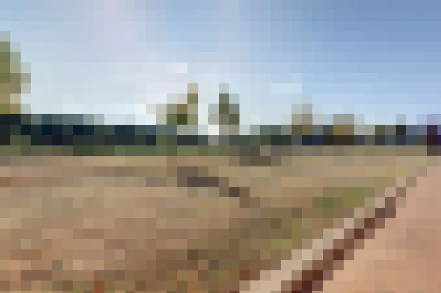 Silenus 15 Cuijk thumbnail 34