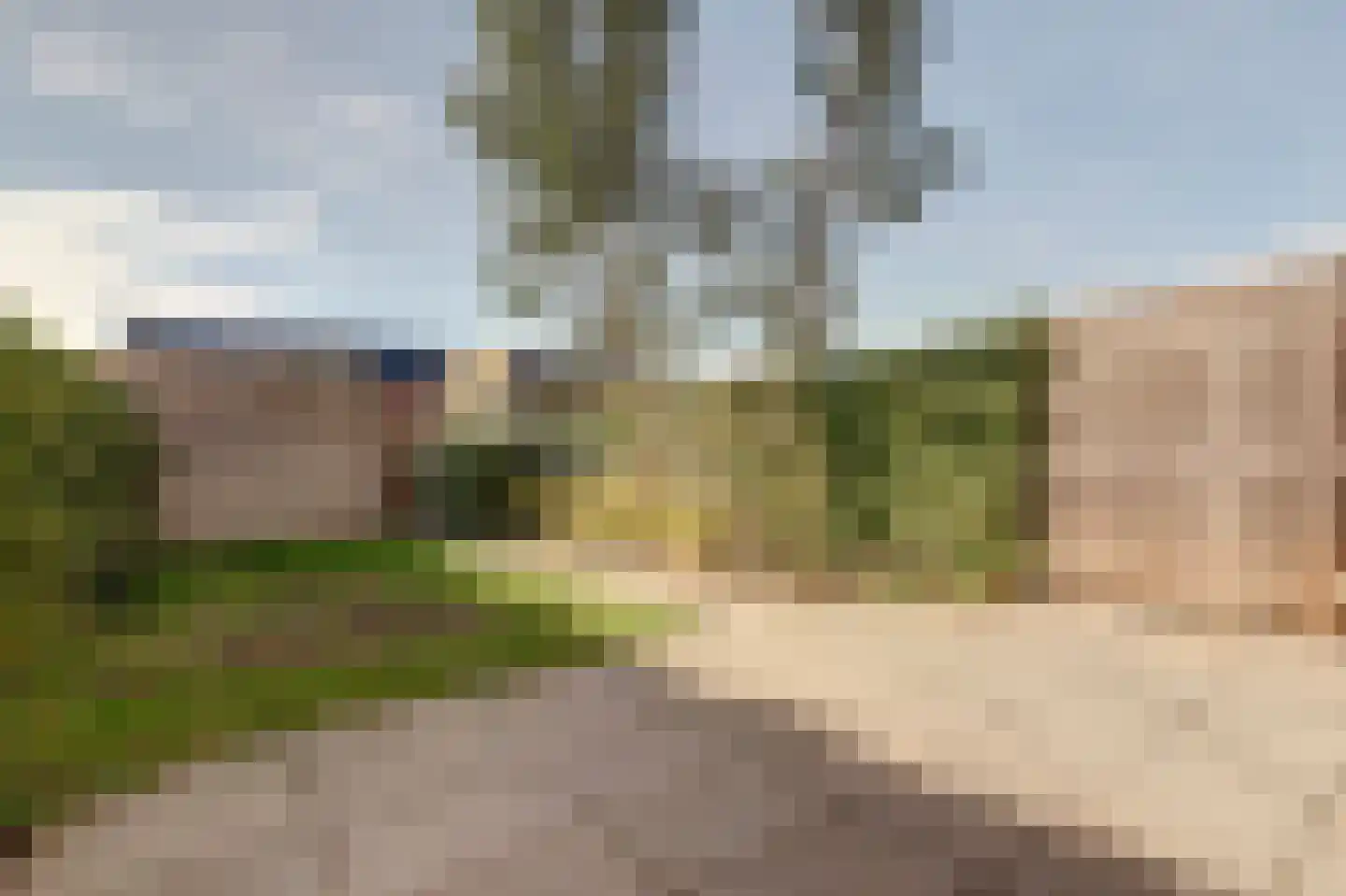 Silenus 15 Cuijk thumbnail 38