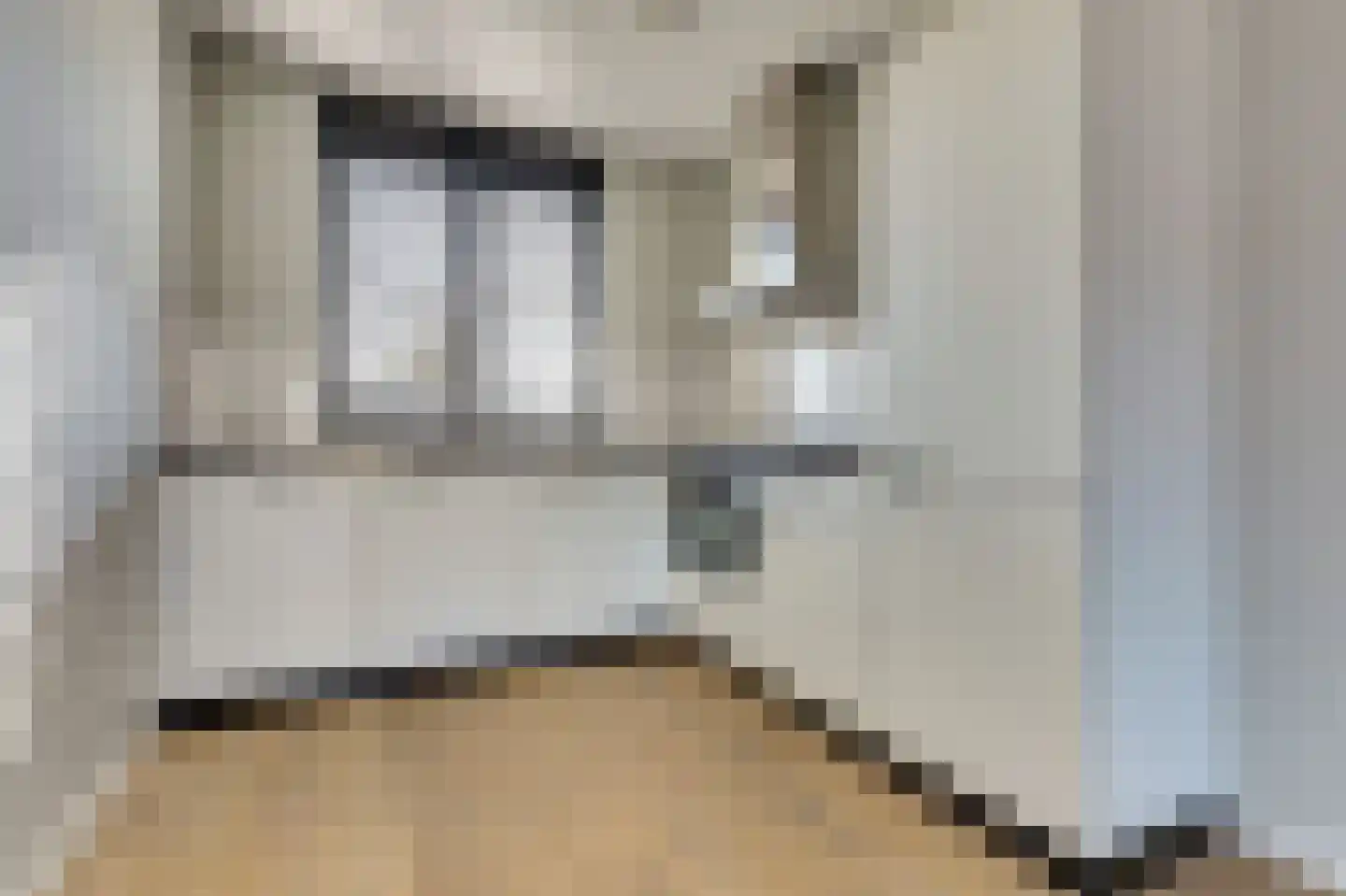 Silenus 15 Cuijk thumbnail 4