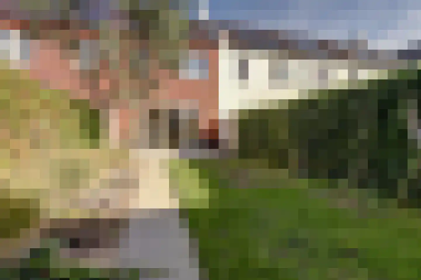 Silenus 15 Cuijk thumbnail 40