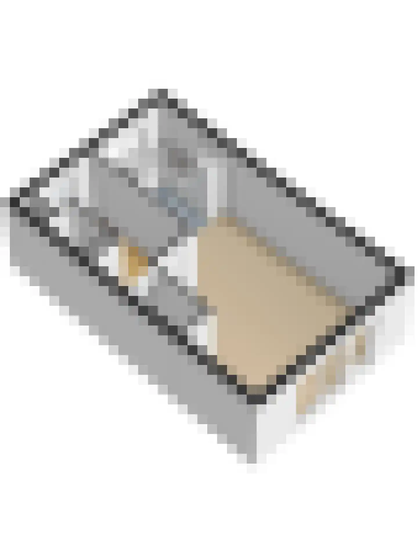 Silenus 15 Cuijk thumbnail 45