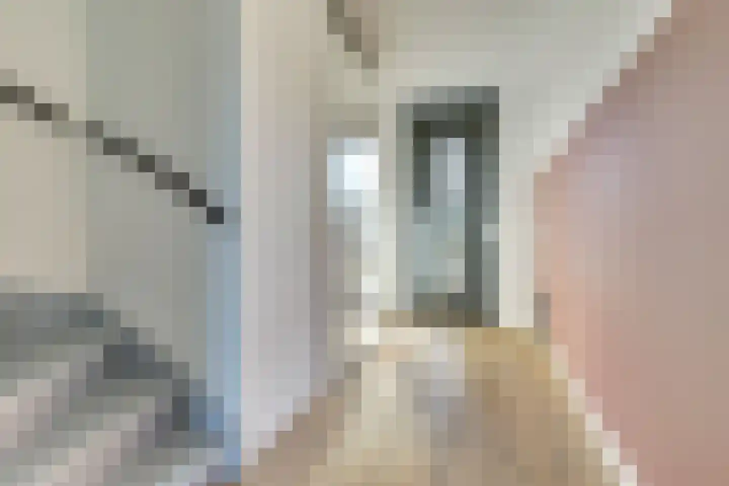 Silenus 15 Cuijk thumbnail 7
