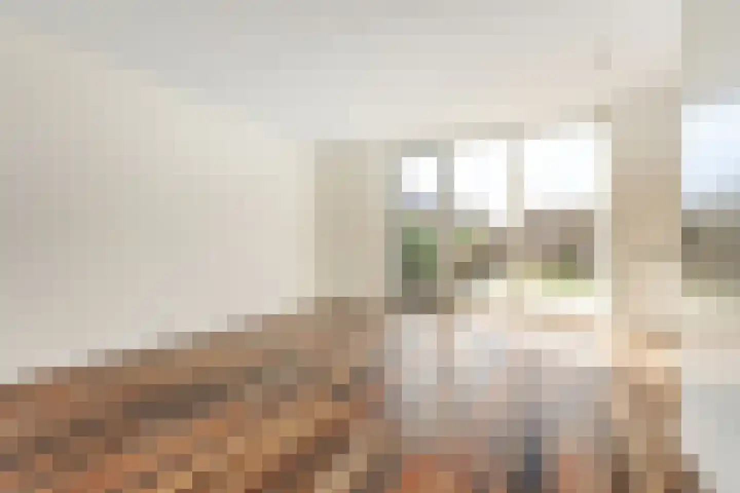 Silenus 37 Cuijk thumbnail 12