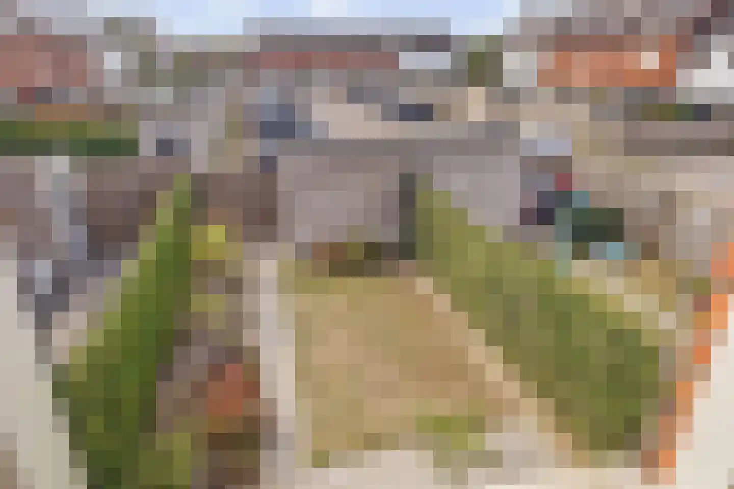 Silenus 37 Cuijk thumbnail 13